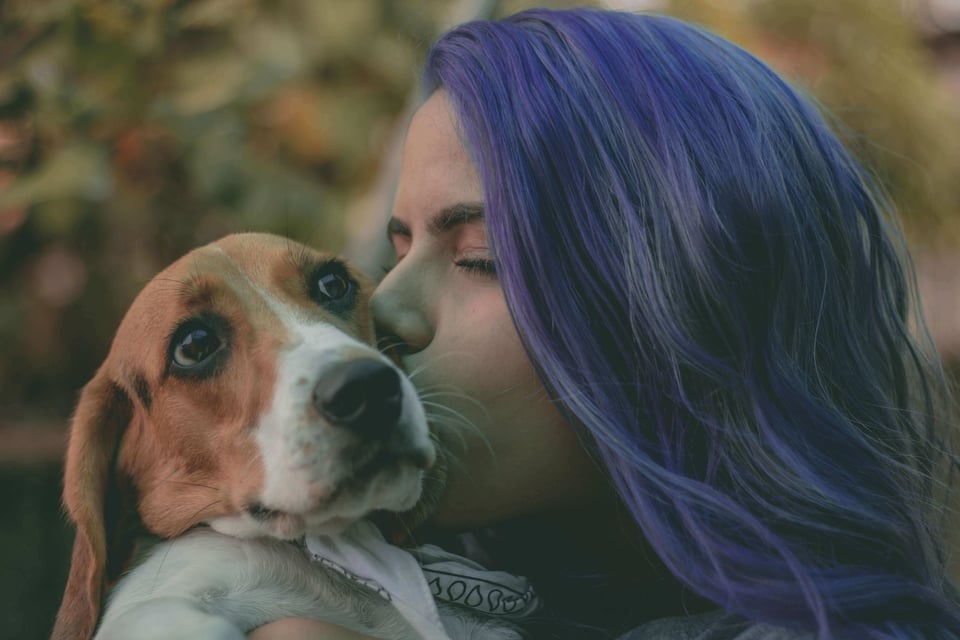 Women kissing her pet beagle