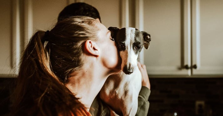 women in orange shirt hugging and kissing black and white short coated dog