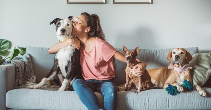 women on couch with her three dogs, with her arms around two of her dogs