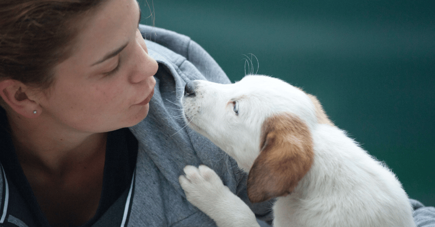 Women going to kiss her new mixed breed puppy 
