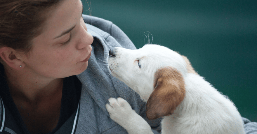 Women going to kiss her new mixed breed puppy