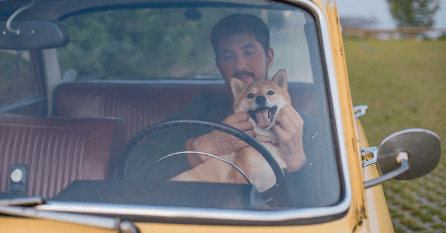 Dog and man sitting in yellow truck while the dog smiles with tongue out for TikTok video