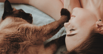 Cat lying on bed with women cuddling 