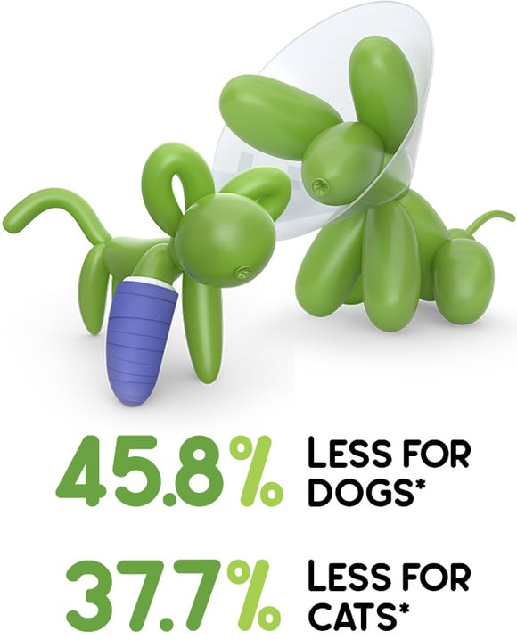 Balloon dog and cat showing savings Balloon dog and cat showing savings