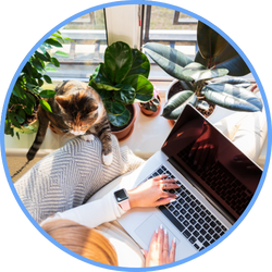 aerial shot of woman on laptop with cat sitting beside her with paw on arm rest