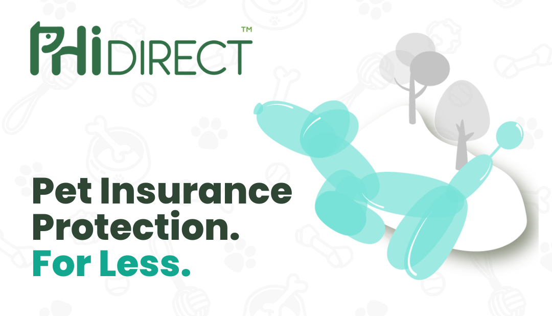 Why Choose Us To Insure Your Pet? | PHI Direct