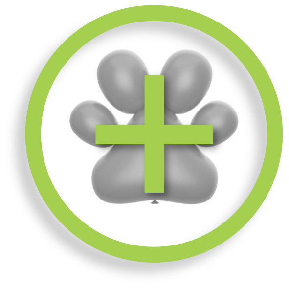 plus-telehealth-support plus-telehealth-support